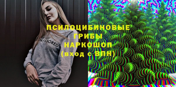 прущие крисы Дубовка
