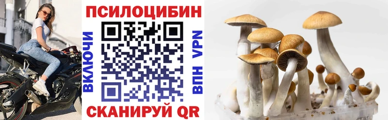 hydra tor  Дрезна  Галлюциногенные грибы ЛСД 